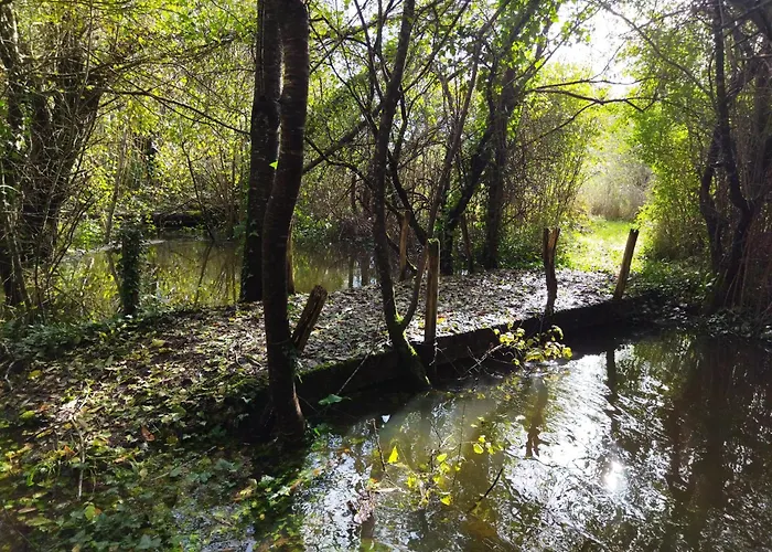 De La Maingotière *