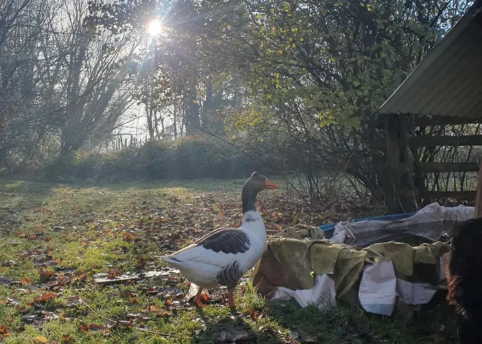 De La Maingotière Hébergement de vacances *