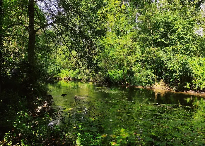 De La Maingotière Voulon