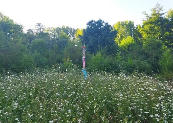 De La Maingotière Hébergement de vacances Voulon