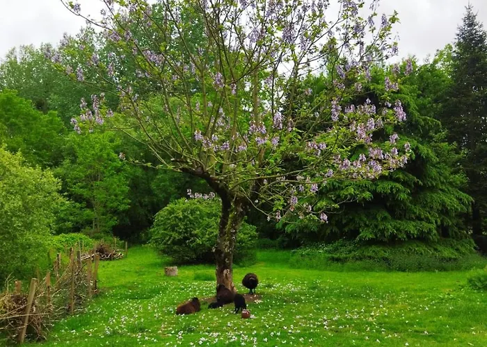 Hébergement de vacances De La Maingotière